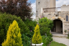 A garden
